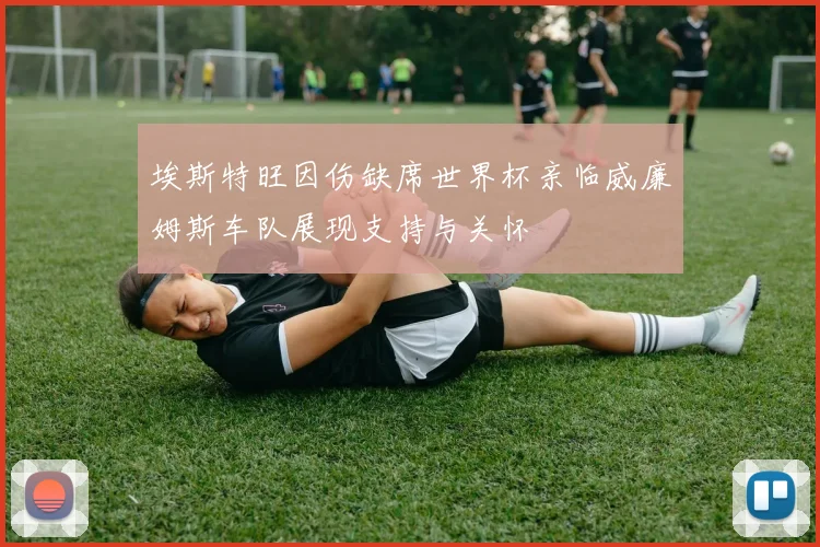 埃斯特旺因伤缺席世界杯亲临威廉姆斯车队展现支持与关怀