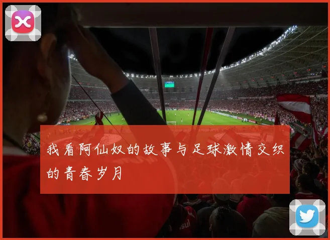 我看阿仙奴的故事与足球激情交织的青春岁月
