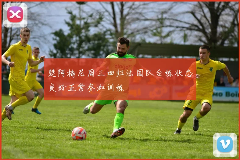 楚阿梅尼周三回归法国队合练状态良好正常参加训练